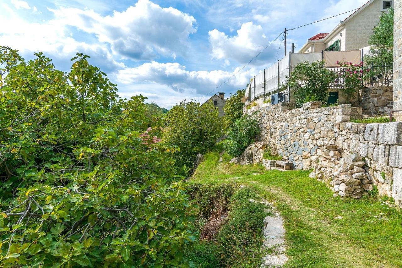 Villa Holiday Home Zvecanje Exterior foto